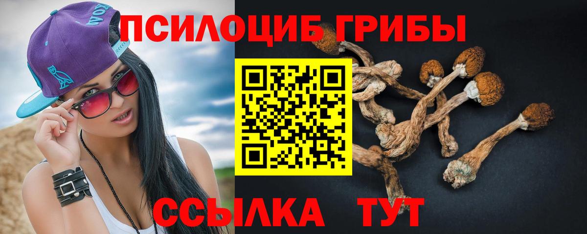 Псилоцибиновые грибы ЛСД  Псилоцибиновые грибы MAGIC MUSHROOMS  Пенза  Вход с VPN 
